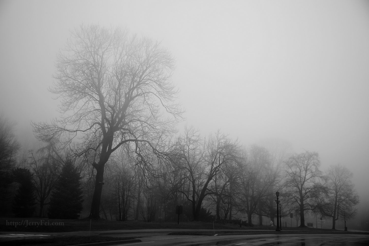 A Walk Through the Fog - by Jerry Fei Photography, Toronto-based landscape photographer