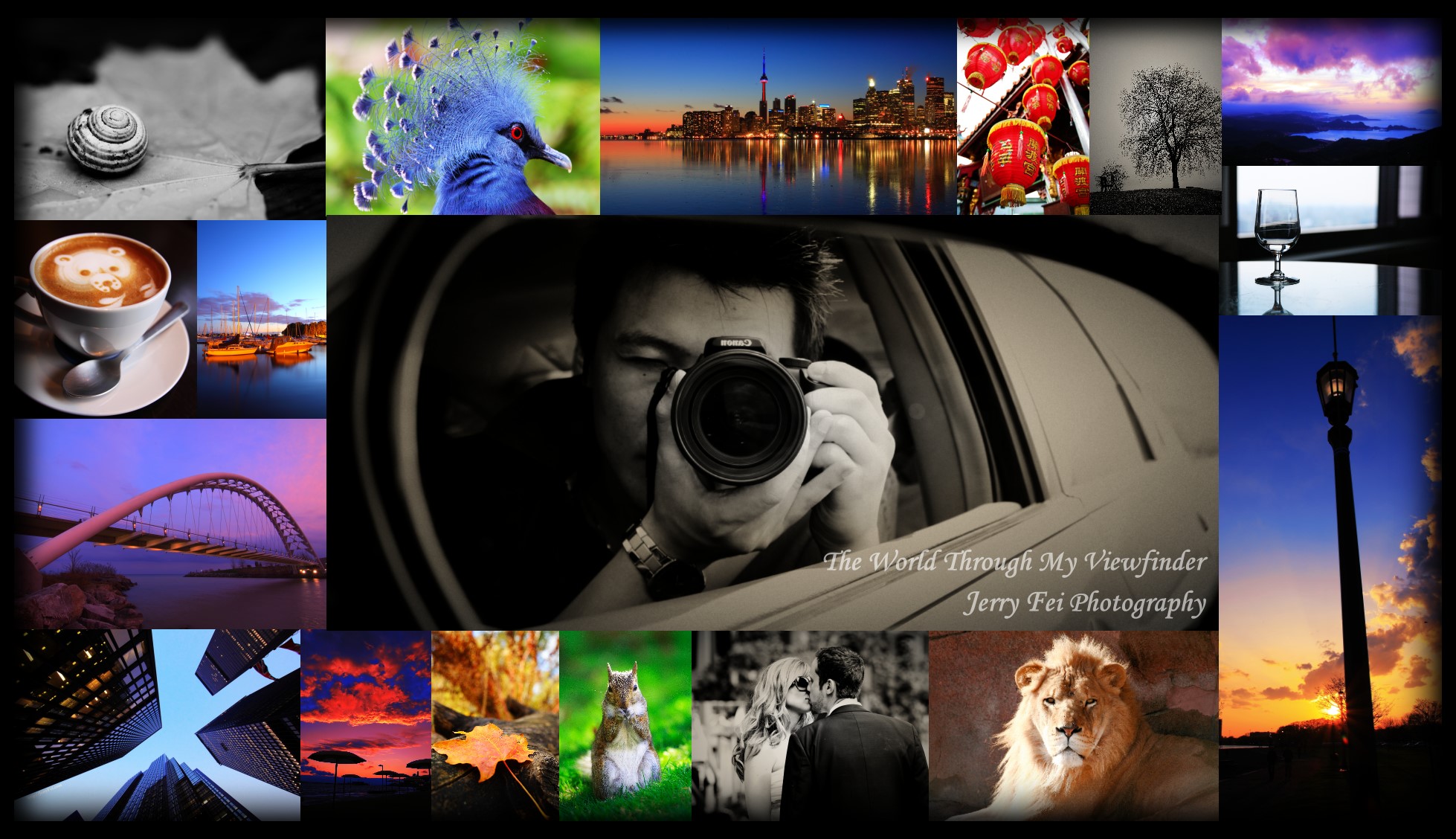 The World Through My Viewfinder - Jerry Fei Photography (多倫多台灣華人攝影師)