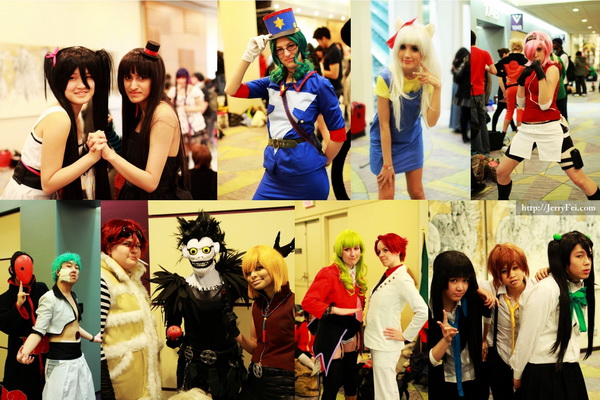 2011 Toronto AnimeCon photo